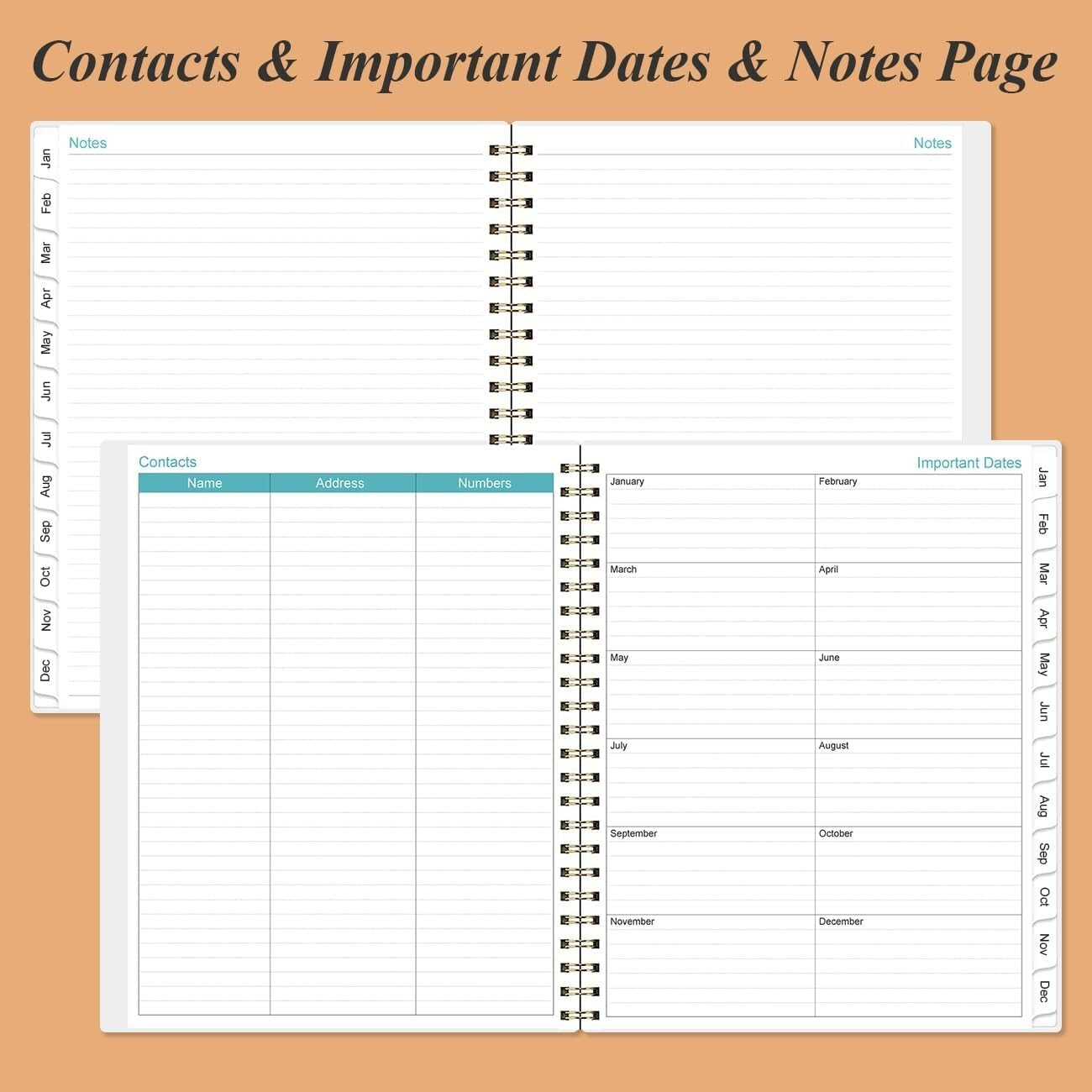 2025 Elegant Daily & Monthly Planner - One Page Per Day, 8.5"x11", Rose
