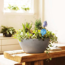 Load image into Gallery viewer, Multicolored 6-Pack of Automatic Plant Watering Globes – 200 ml Each for 7 Days