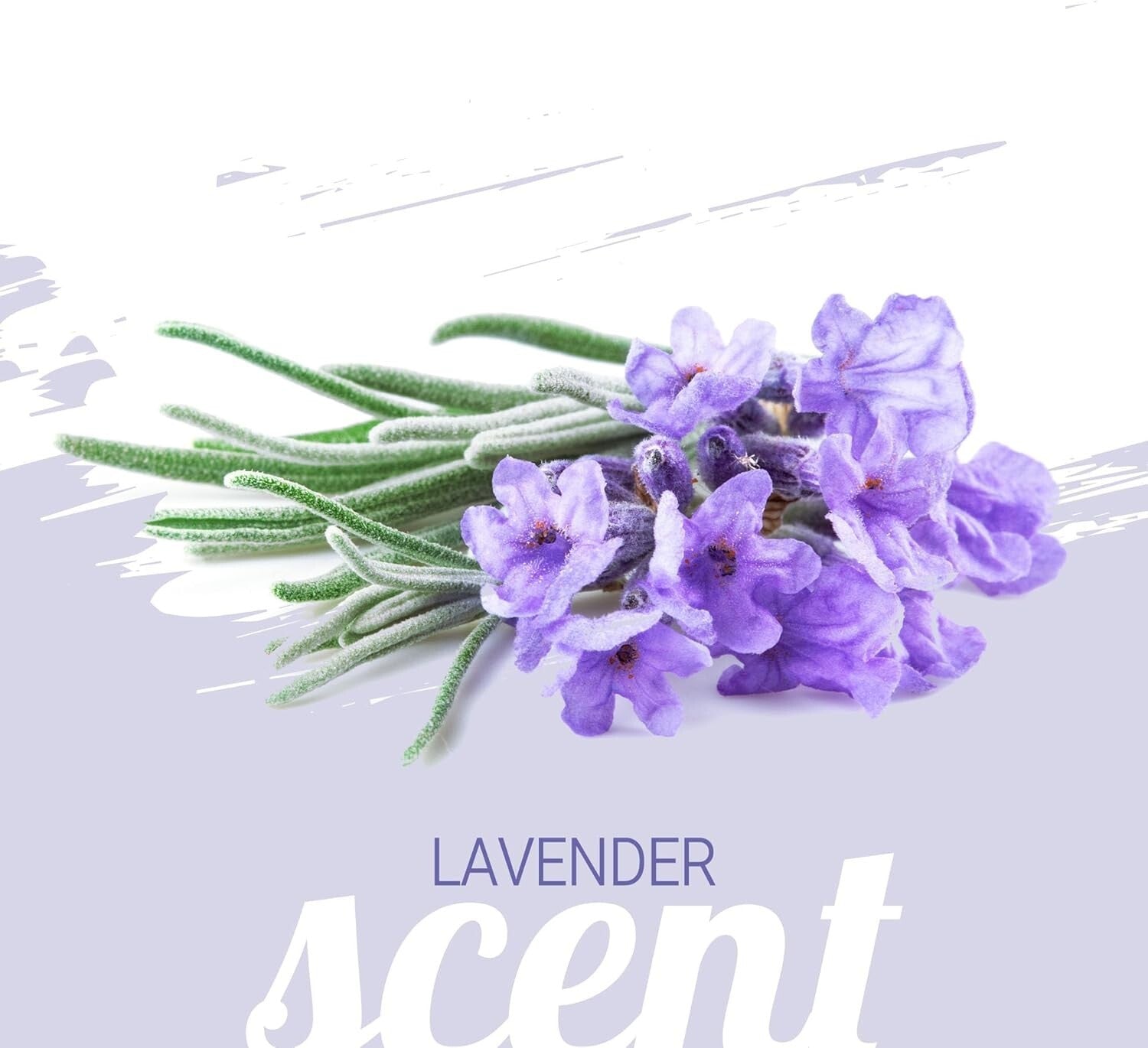 Calming 1 Gallon Dog Shampoo with Chamomile & Lavender - Hydrating & Deodorizing