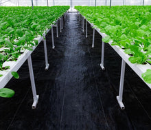 Load image into Gallery viewer, Durable 5oz Heavy Duty Landscape Fabric - Superior Weed Control Mat, 4ft x 250ft