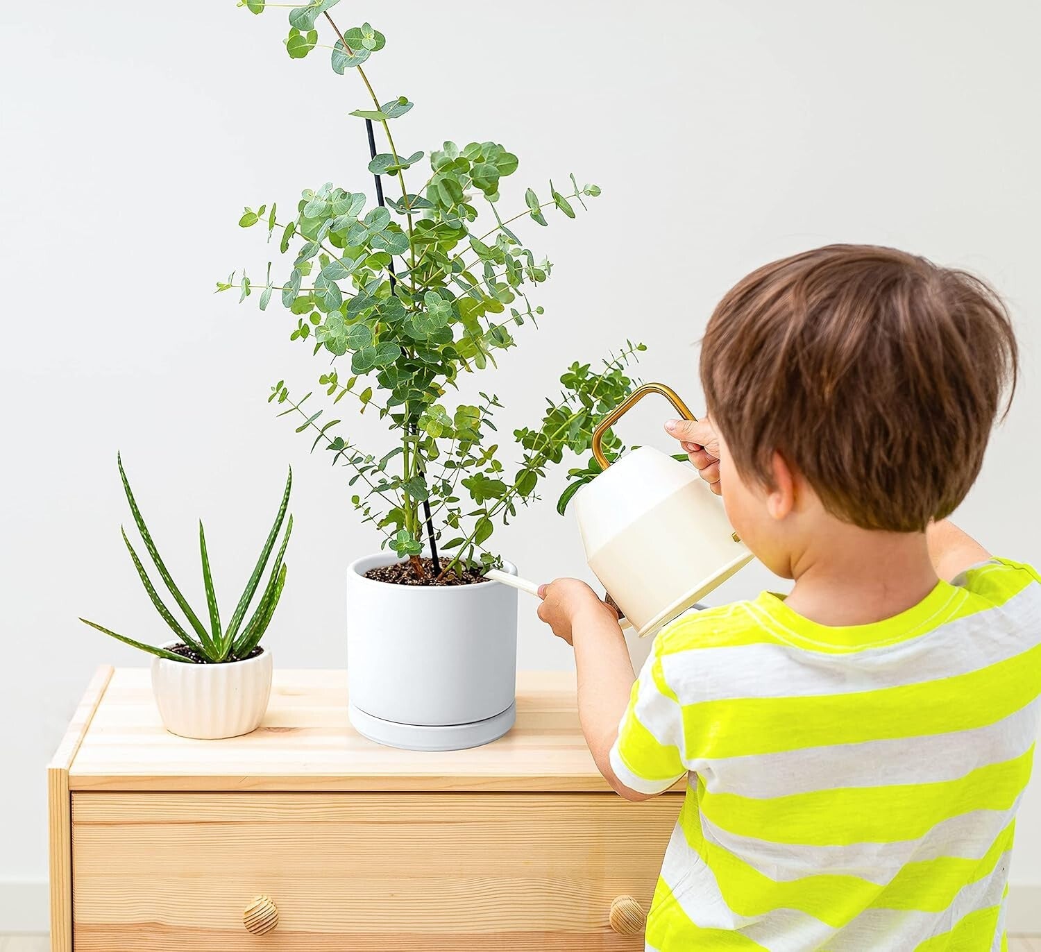 Lightweight White Ceramic Plant Pots with Saucer - Ideal for Indoor Plants
