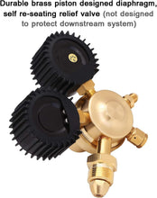 Load image into Gallery viewer, High-Performance Nitrogen Regulator 0-600 PSI with Gauge - Brass Inlet/Outlet