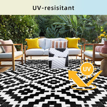 Load image into Gallery viewer, Outdoor Rug