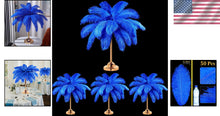 Load image into Gallery viewer, Natural 14-16 Inch Blue Ostrich Feathers - Perfect for Wedding Centerpieces