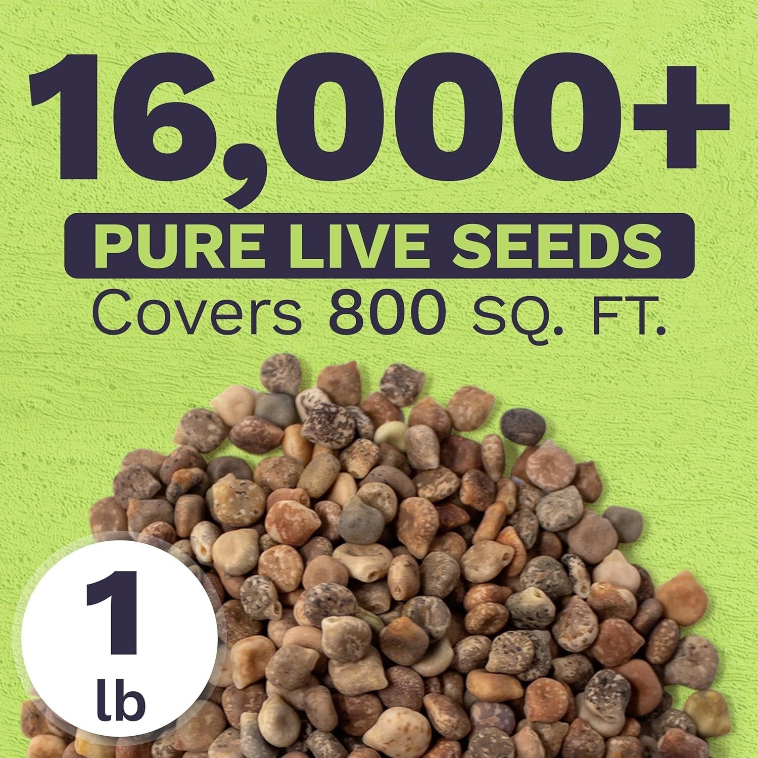 Guaranteed Growth 1 lb Texas Bluebonnet Wildflower Seeds - Perfect Garden Gift