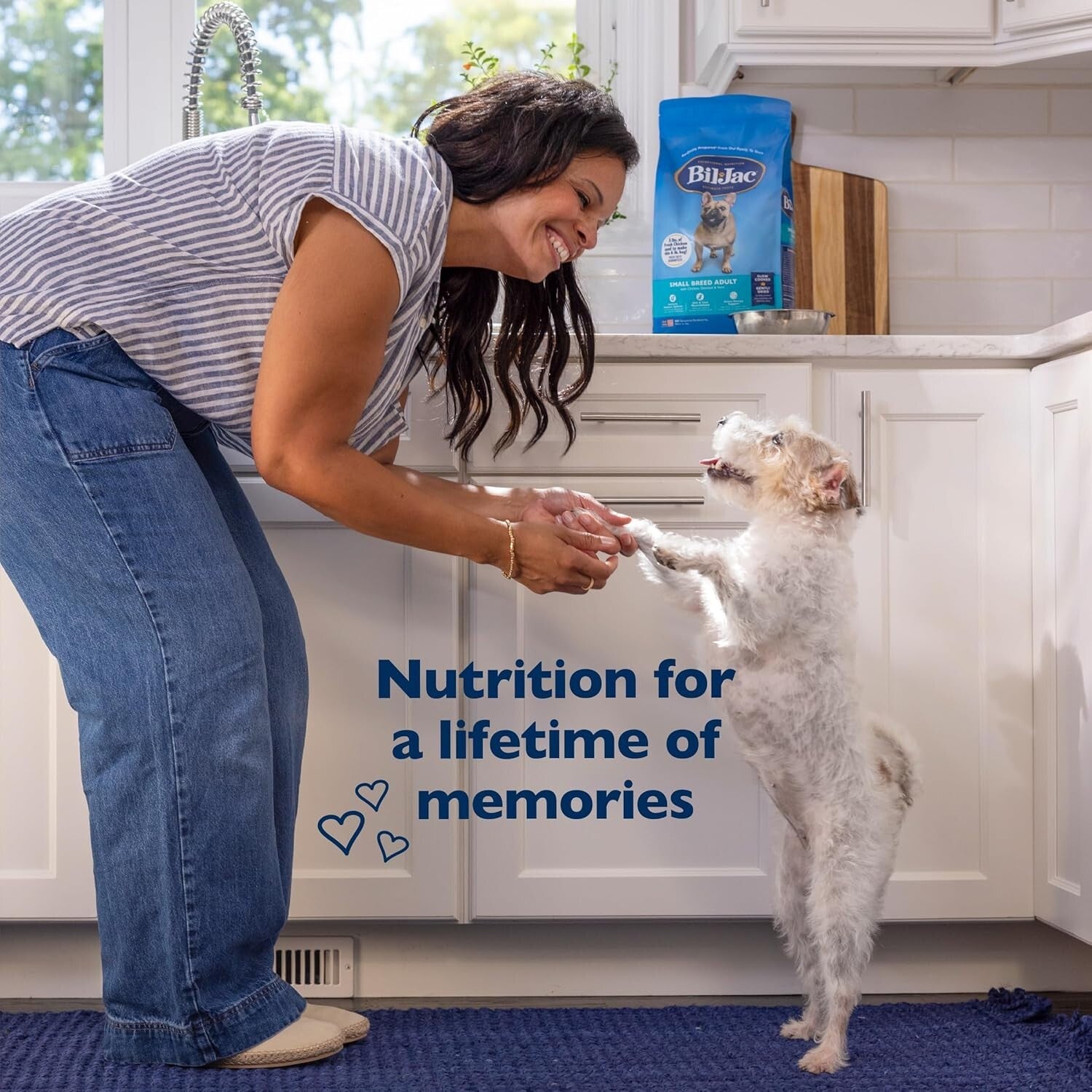 Balanced Nutrition Small Breed Dry Dog Food - 6lb Bags Featuring Real Chicken