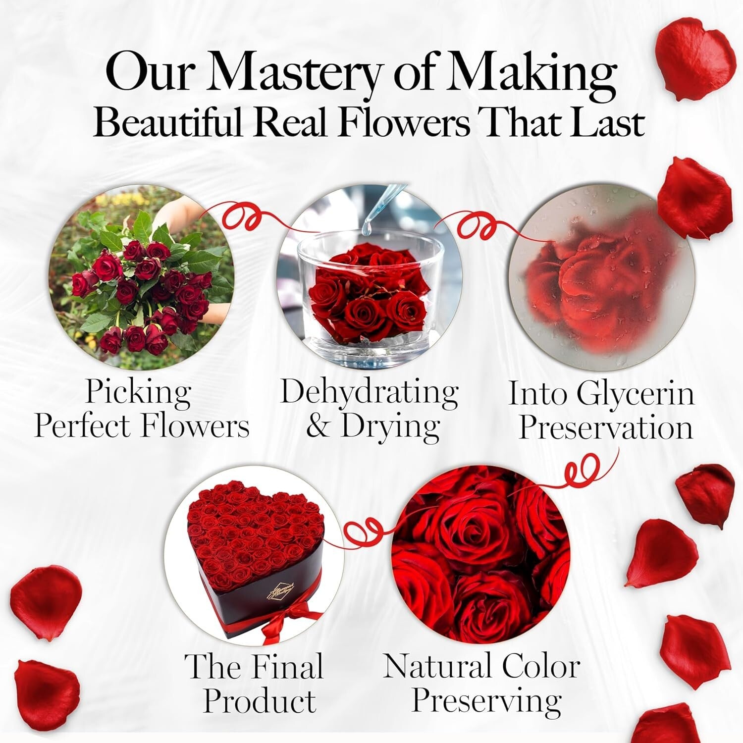 Eternal Love - 50 Preserved Roses in Beautiful Heart Box, No Maintenance