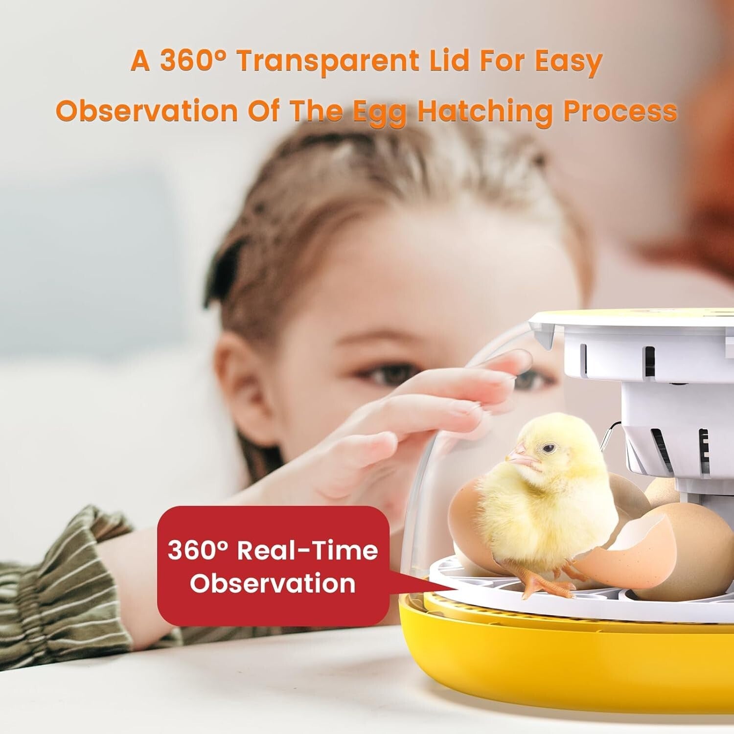 Ultimate Automatic Egg Incubator with Humidity Control for Chickens & Quail