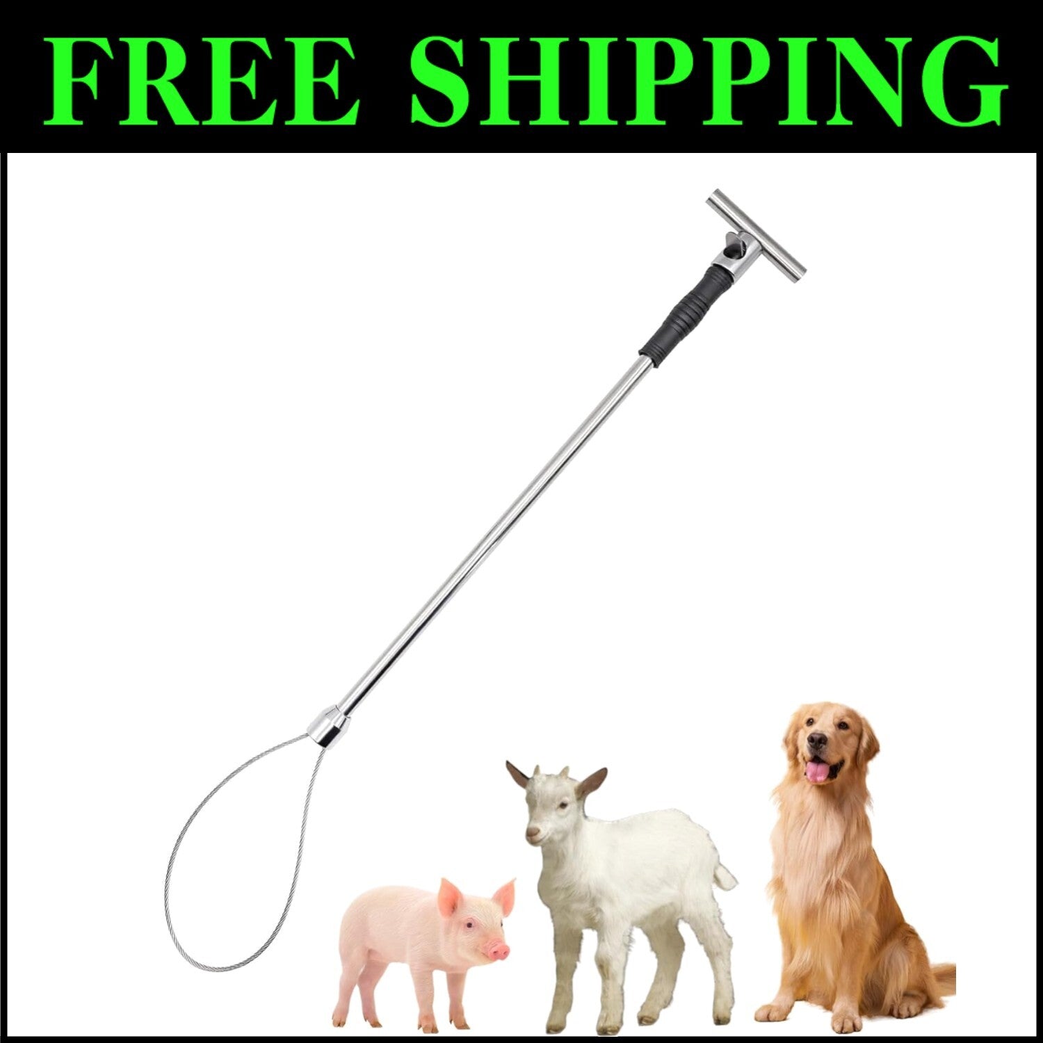 Premium Adjustable Animal Control Pole with Locking Noose for Livestock and Dogs