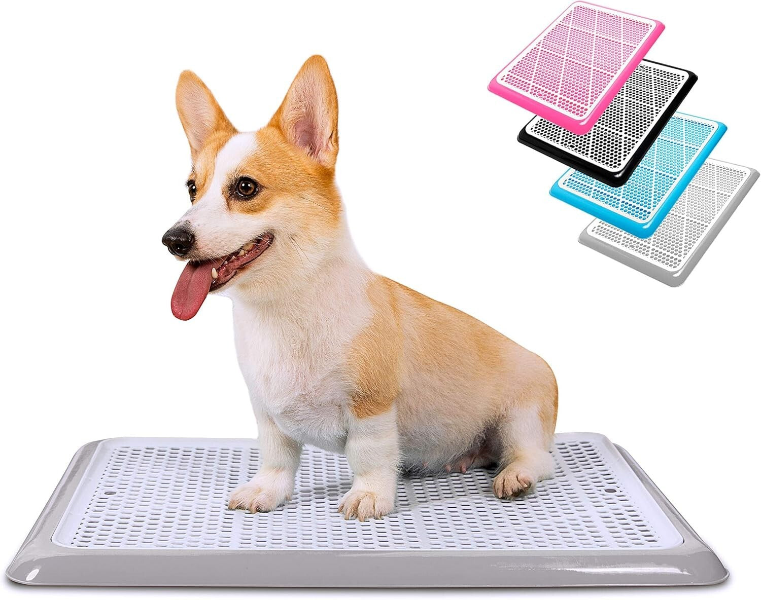 Removable Mesh Dog Potty Tray - 25''x20'' Indoor Pee Pad Holder for Small Dogs