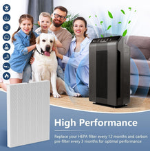 Load image into Gallery viewer, H13 Medical Grade HEPA Filter Pack for Winix C535 &amp; Compatible Models - 4 Count