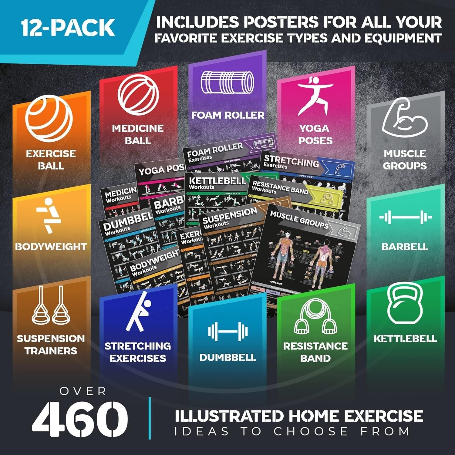 Complete Home Gym Poster Set - 12 Laminated Fitness Charts for Every Exercise