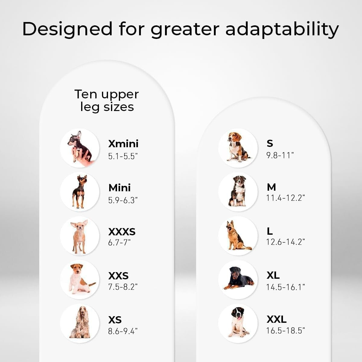 Veterinary-Quality Left Leg Dog Brace for ACL & Patella Support - Mini Size