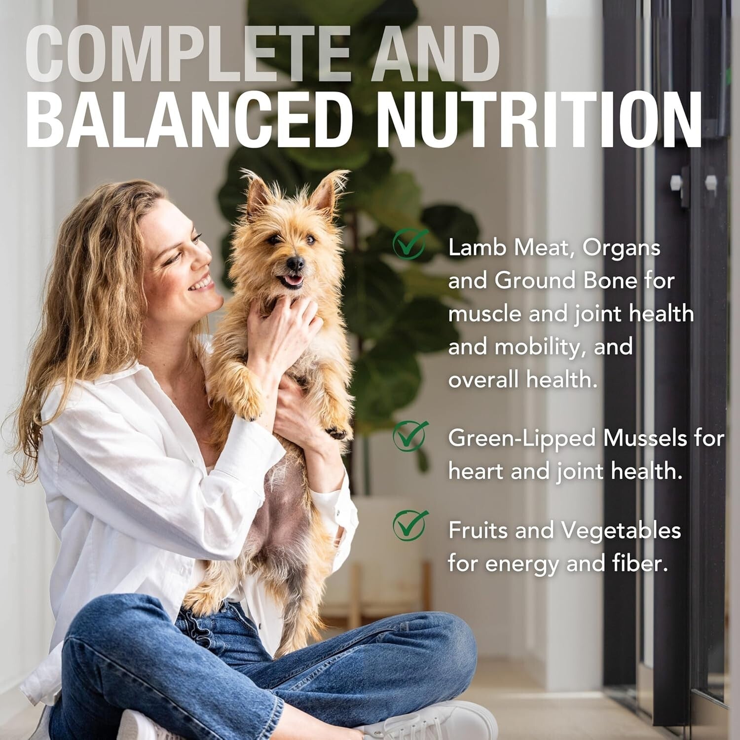 Delicious Lamb Feast Wet Dog Food - 13 Oz Cans, 12 Cans, Healthy Nutrition