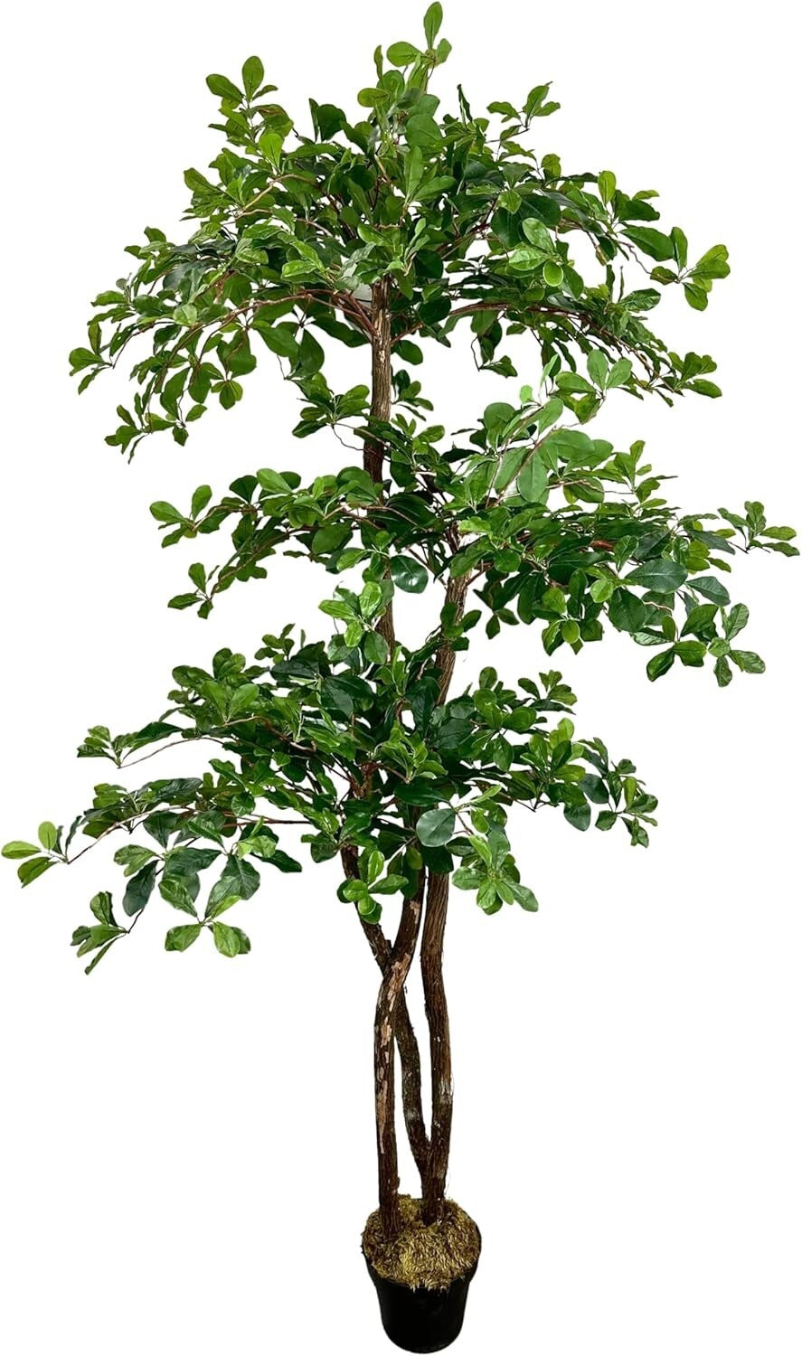 Ethically Sourced Real Wood 3-Tier Olive Tree - 6.5ft Hypoallergenic Decor