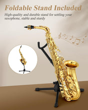 Load image into Gallery viewer, Versatile E Flat Alto Saxophone Full Kit with Gold Lacquer Finish for Beginners