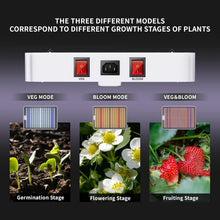 Load image into Gallery viewer, Cost-Effective Indoor Grow Light - 3x3 ft Coverage, Ideal for All Plant Stages