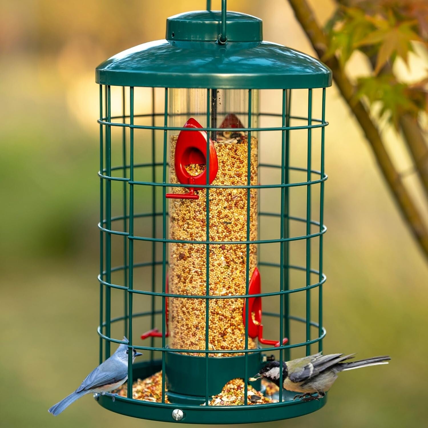 Large Capacity Squirrel-Proof Bird Feeder with Detachable Assembly & Dome Lid