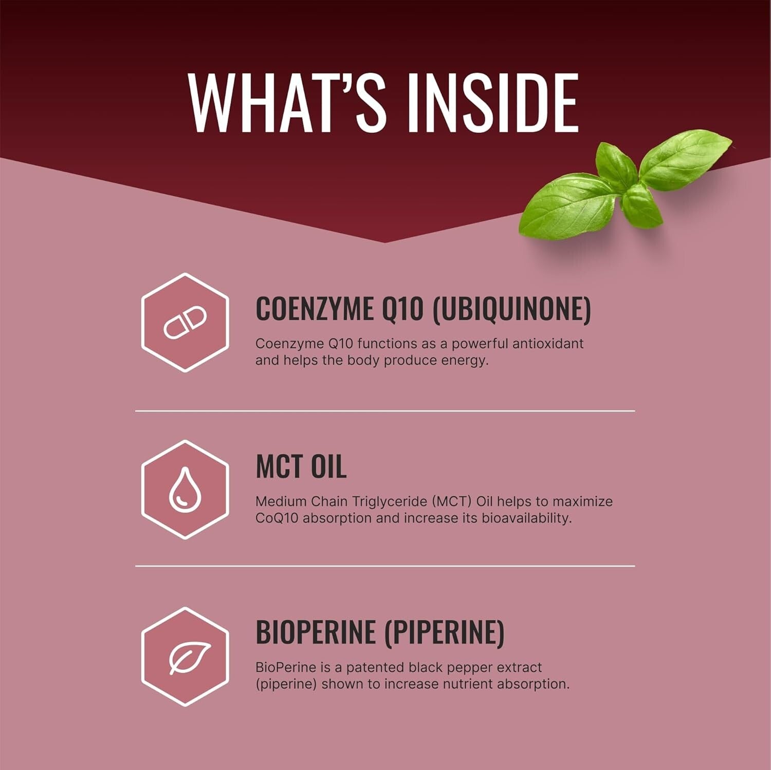 High Potency 300mg Vegan CoQ10 with BioPerine for Rapid Absorption - 360 Count