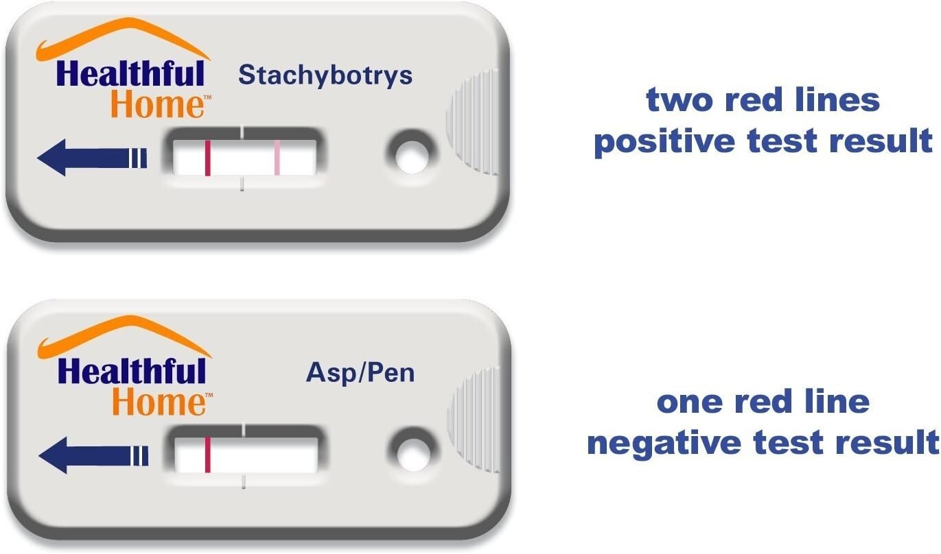 5-Minute Mold Test Kit - Detect Aspergillus & Stachybotrys with Expert Guidance
