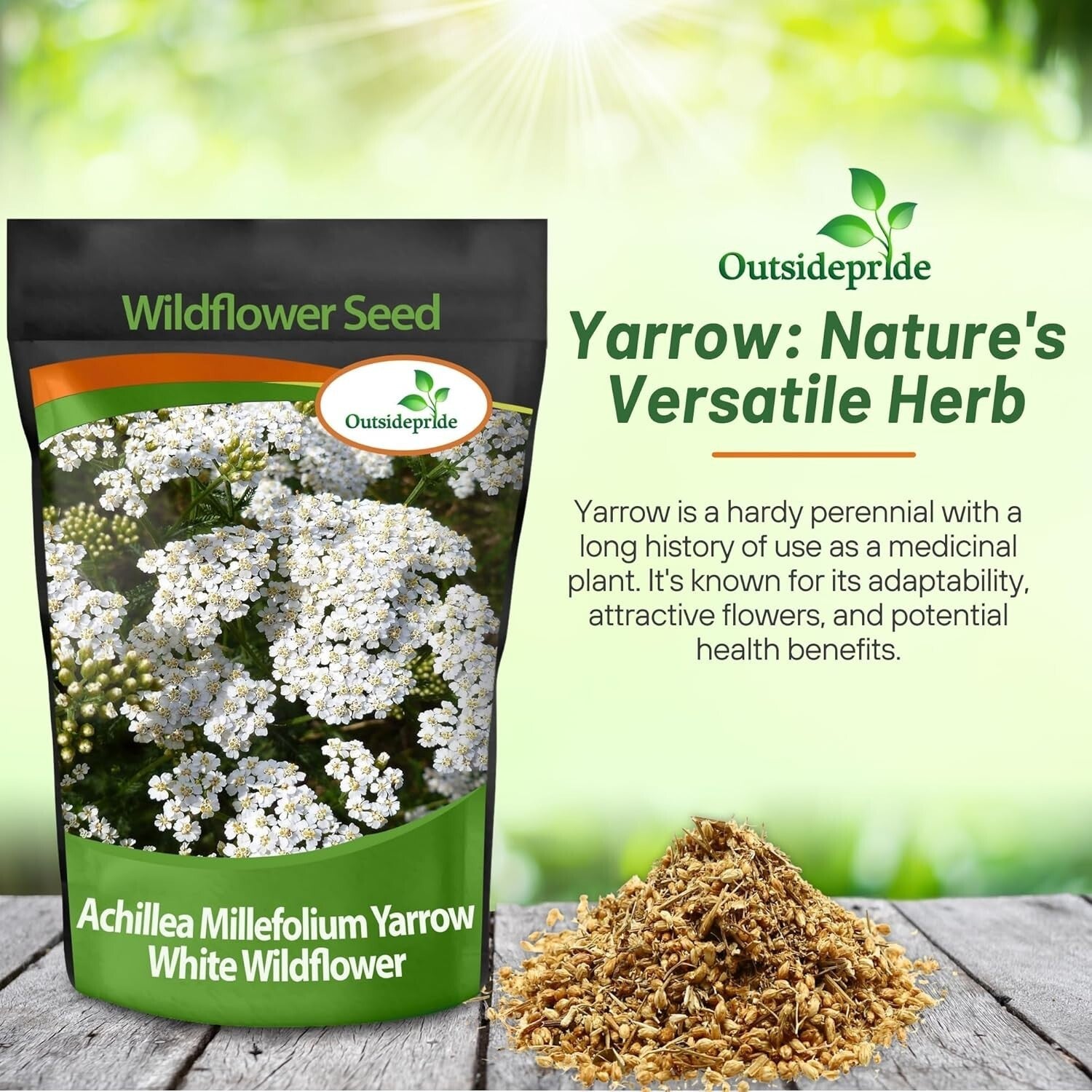 GMO-Free Wildflower Seeds - 1 lb Achillea Millefolium Yarrow for Outdoor Gardens