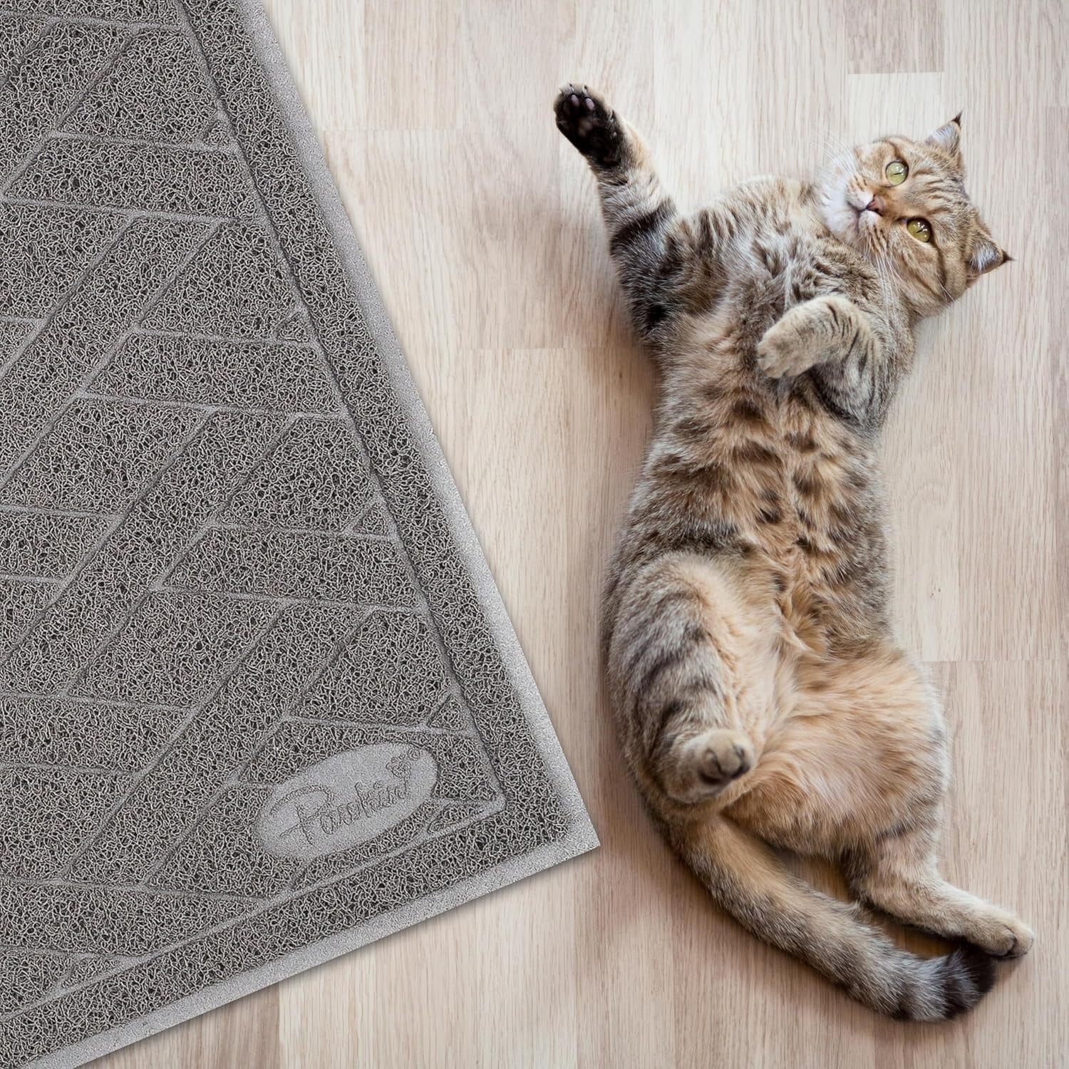 XX-Large Cat Litter Mat - 4x3 Feet, Soft PVC for Clean Floors & Happy Cats