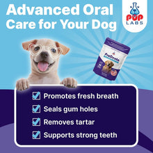 Load image into Gallery viewer, ProDenta Dental Care Powder for Dogs - Tartar Remover &amp; Gum Health Support
