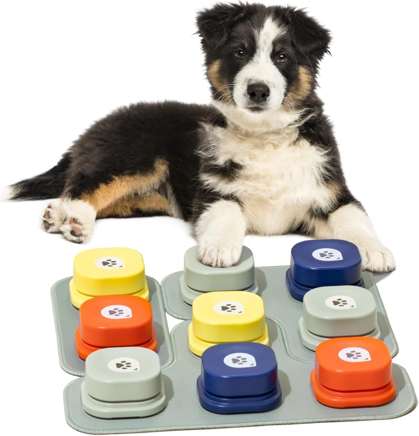 Recordable Dog Communication Buttons with Rubber Mat for Interactive Training