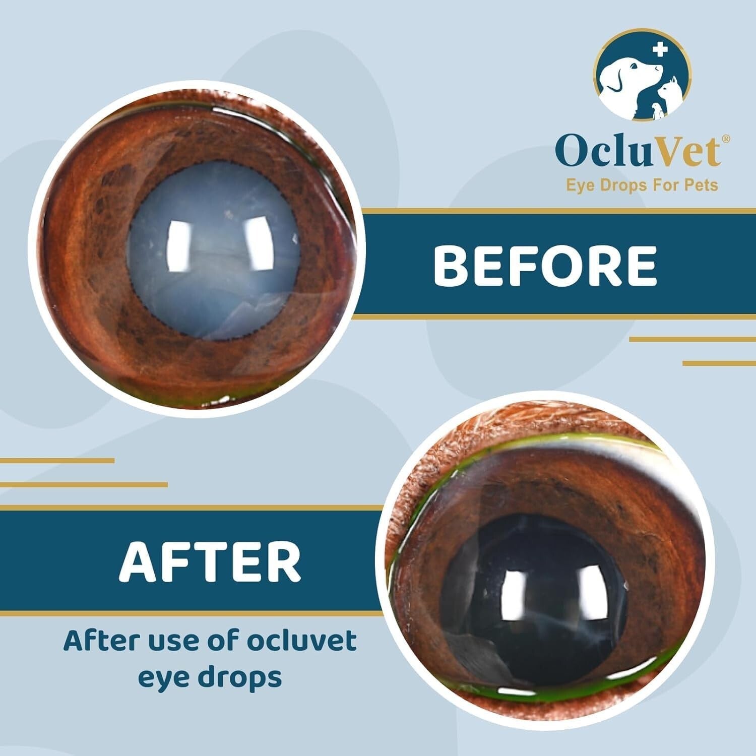 Superior Eye Health for Pets with Antioxidants | 16mL N-Acetyl-L-Carnosine Drops