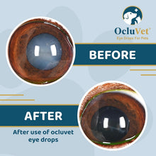 Load image into Gallery viewer, Superior Eye Health for Pets with Antioxidants | 16mL N-Acetyl-L-Carnosine Drops