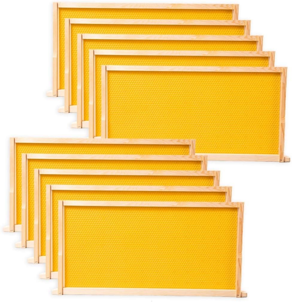 Yellow Beeswax Bee Frames for Standard Langstroth Deep Brood - 10 Piece Set