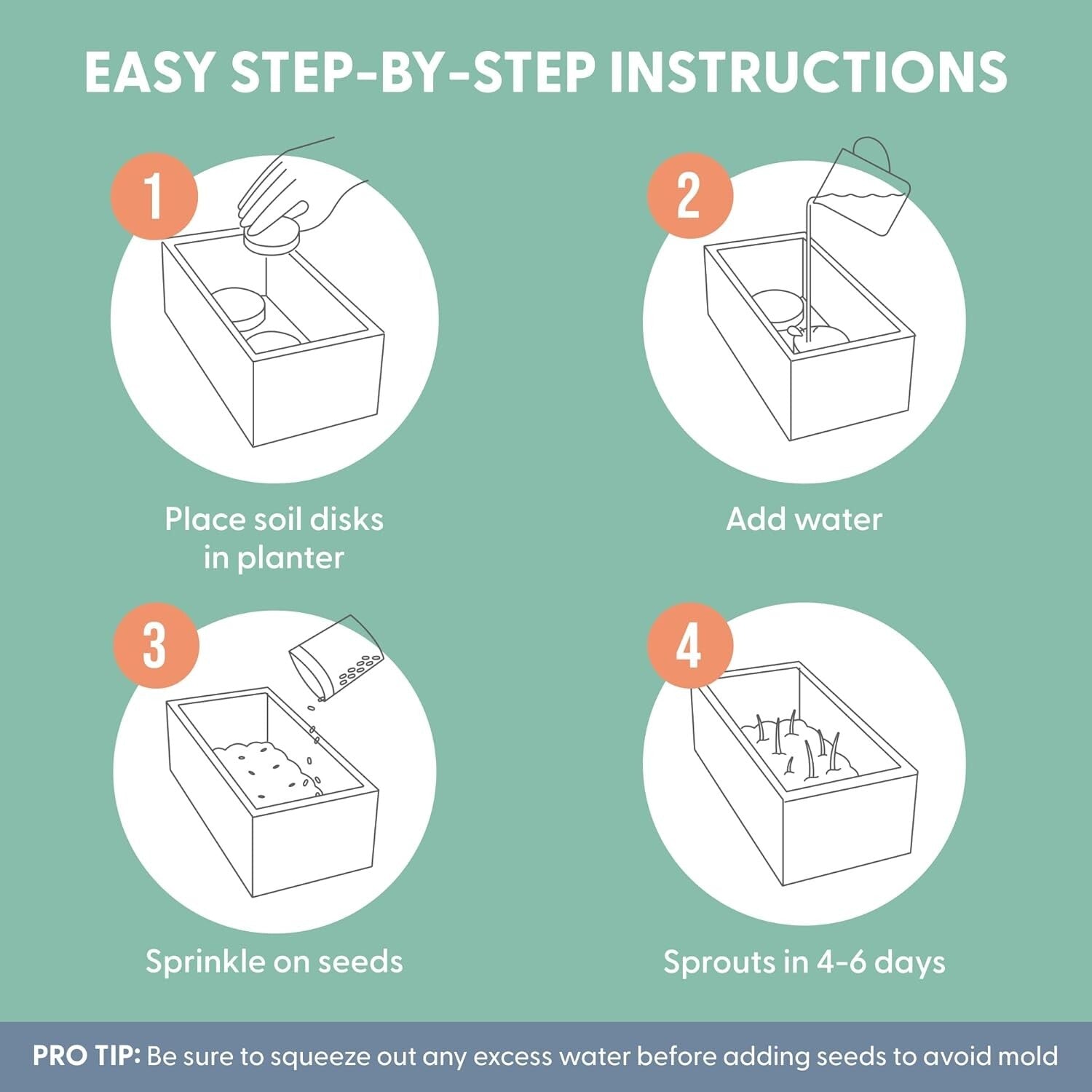 Elegant Cat Grass Kit in Rustic Wood Planter - Nourish & Decorate Your Home