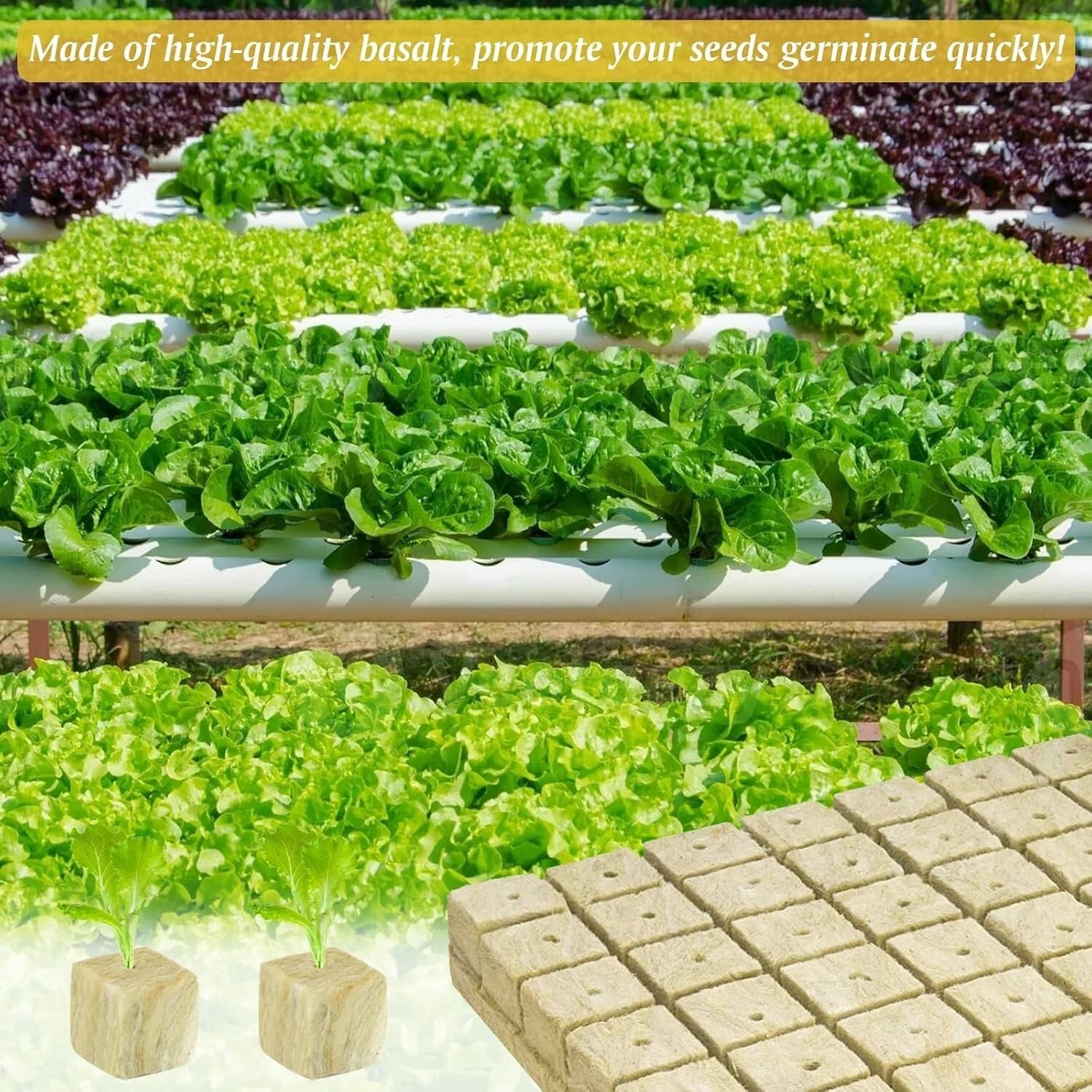 Effortless Seed Germination: 4 Sheets of Light Yellow Rockwool Cubes - 192 Total