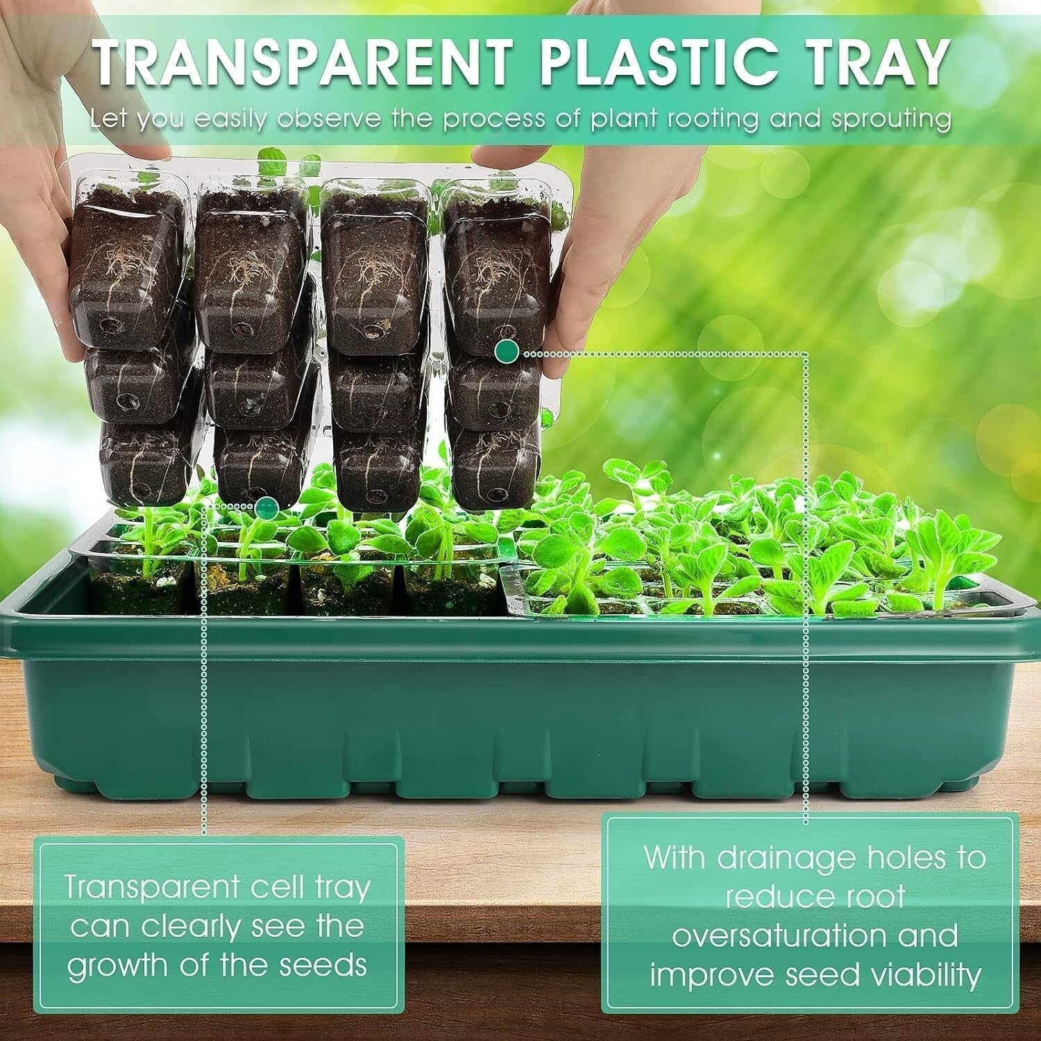 Seedling Starter Kit with Automatic Timer & Humidity Control for Indoor Gardens