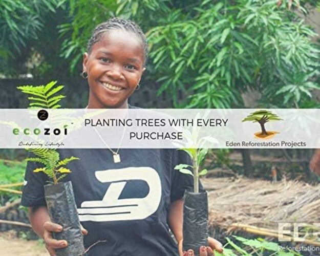 BPA-Free Popsicle Makers with Silicone Seals - Durable Stainless Steel Design