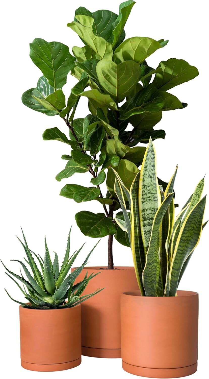 Breathable Terracotta Plant Pots Set – Drainage & Protective Saucers Included