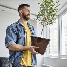 Load image into Gallery viewer, Classic Copper 16 Inch Planter Set - Drainage Holes for Healthier Houseplants