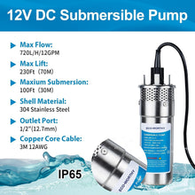 Load image into Gallery viewer, Durable Stainless Steel 12V DC Well Pump - Ideal for Livestock and Irrigation