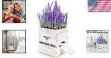 Load image into Gallery viewer, Charming Square Tissue Box Cover with Potted Lavender - Rustic Decor Essential
