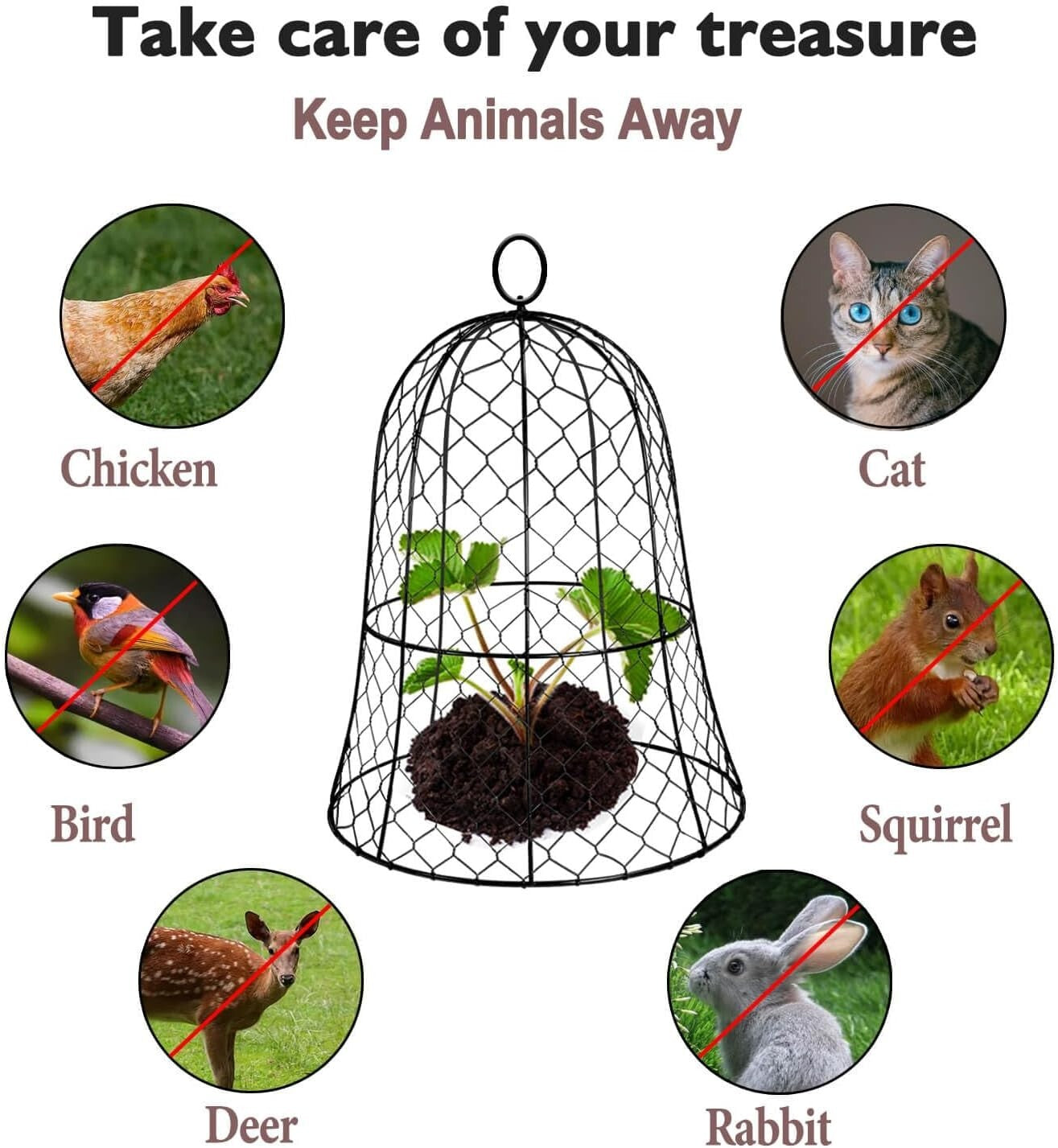 Space-Saving 6 Set Garden Cloches, 13"D x 17"H for Rabbits and Birds Deterrent