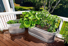 Load image into Gallery viewer, Advanced Drip Irrigation Raised Bed Watering Kit with Pressure Regulator &amp; Timer