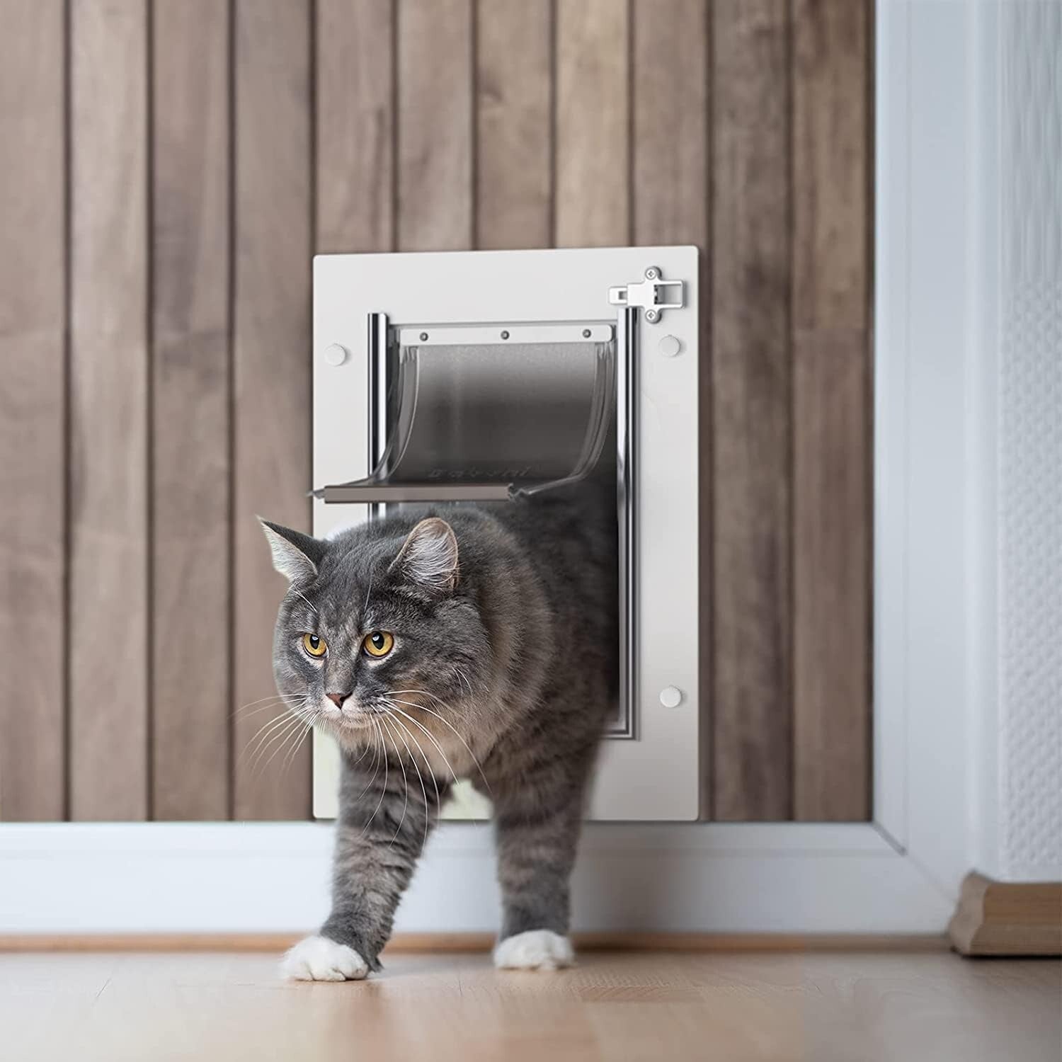 Durable Steel Frame Pet Door for Wall – Double Flap for Cats & Dogs Up to 12 lbs