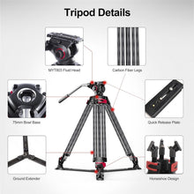 Load image into Gallery viewer, Ultra-Smooth Heavy Duty Tripod Stand for Cameras and Telescopes, 33lbs Capacity