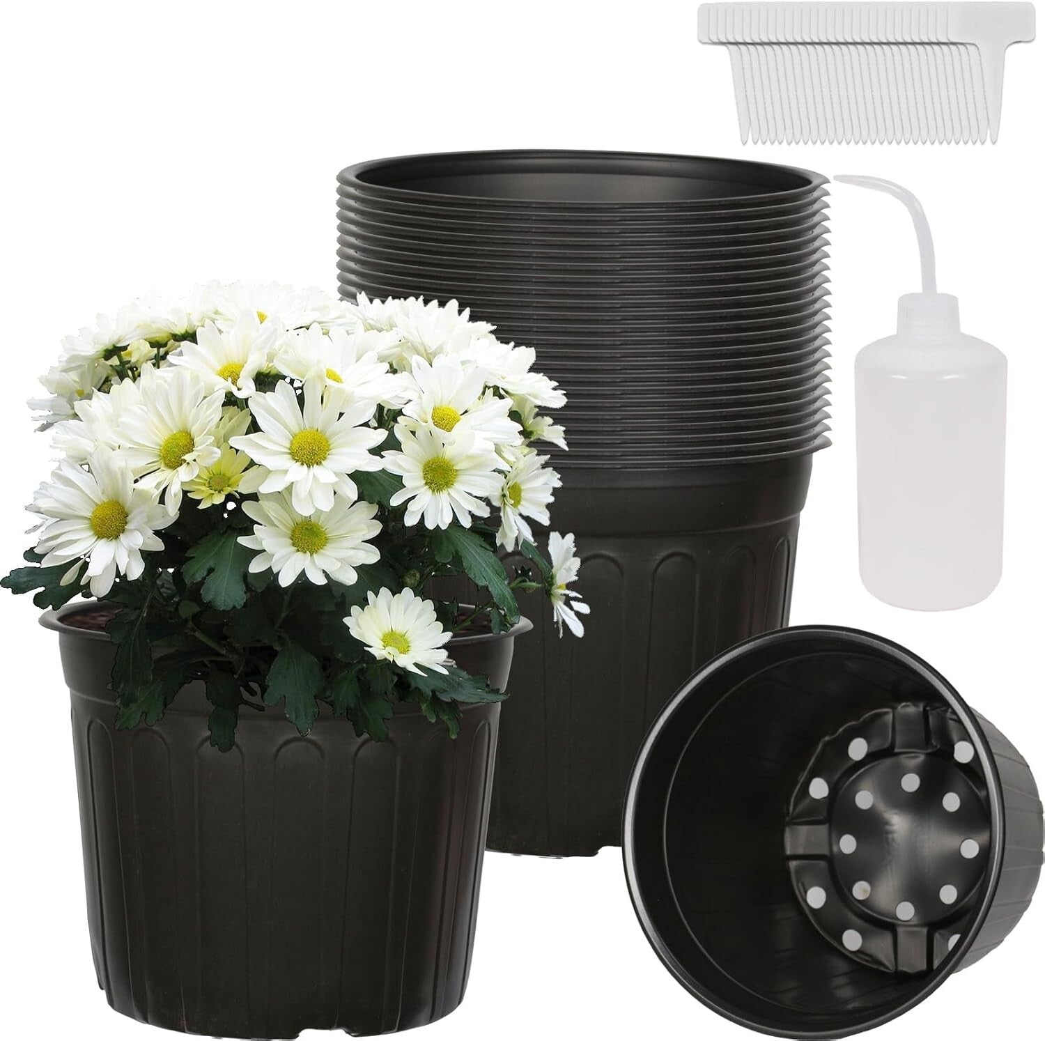 Versatile 3 Gallon Plant Containers with Labels - Ideal for Seedlings & Cuttings