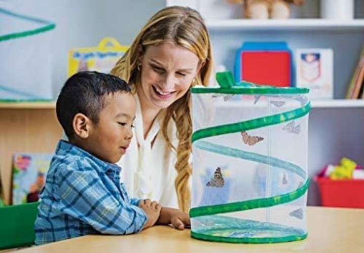Engaging Butterfly Metamorphosis Kit | 10 Caterpillars & 12" Habitat for Kids