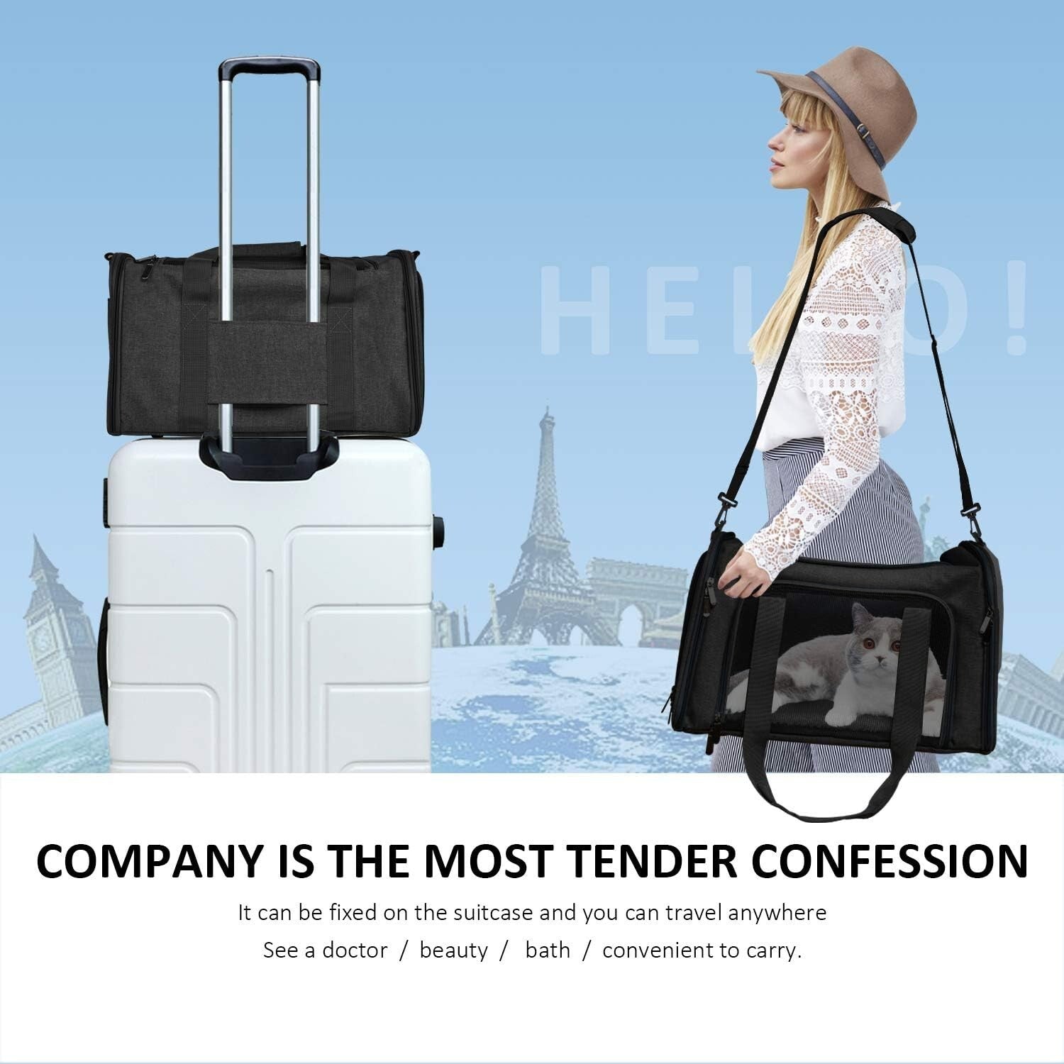 Durable Collapsible Pet Carrier for Cats and Small Dogs - Lightweight & Portable