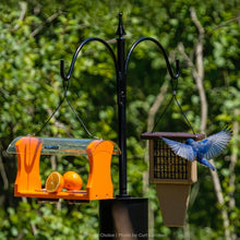 Load image into Gallery viewer, Squirrel-Proof 2 Arm Bird Feeder Pole Set with Durable Baffle &amp; Ground Twister
