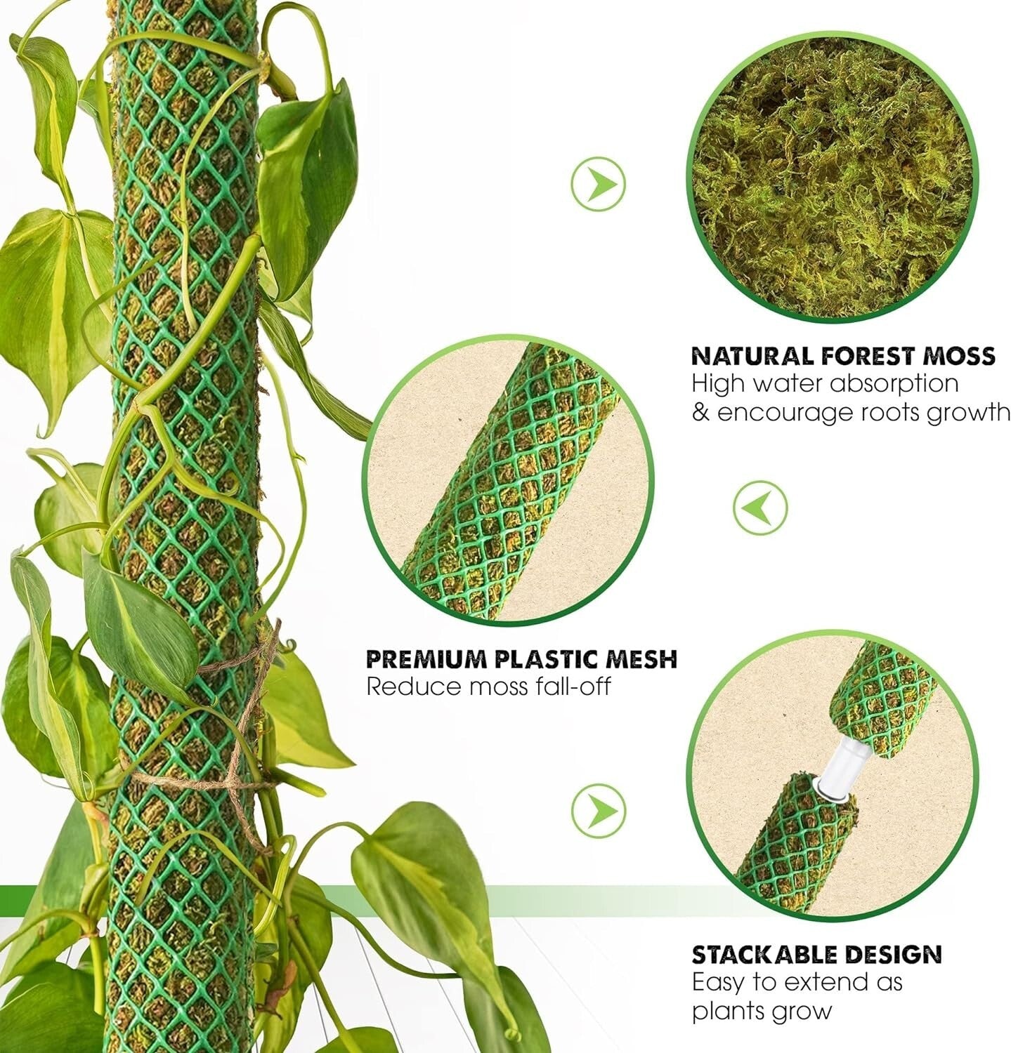 Elegant 22'' Indoor Plant Stakes - Stackable Support Poles for Climbing Plants