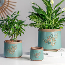 Load image into Gallery viewer, Turquoise Terracotta Pots Set of 2 with Drainage Holes for Indoor/Outdoor Use
