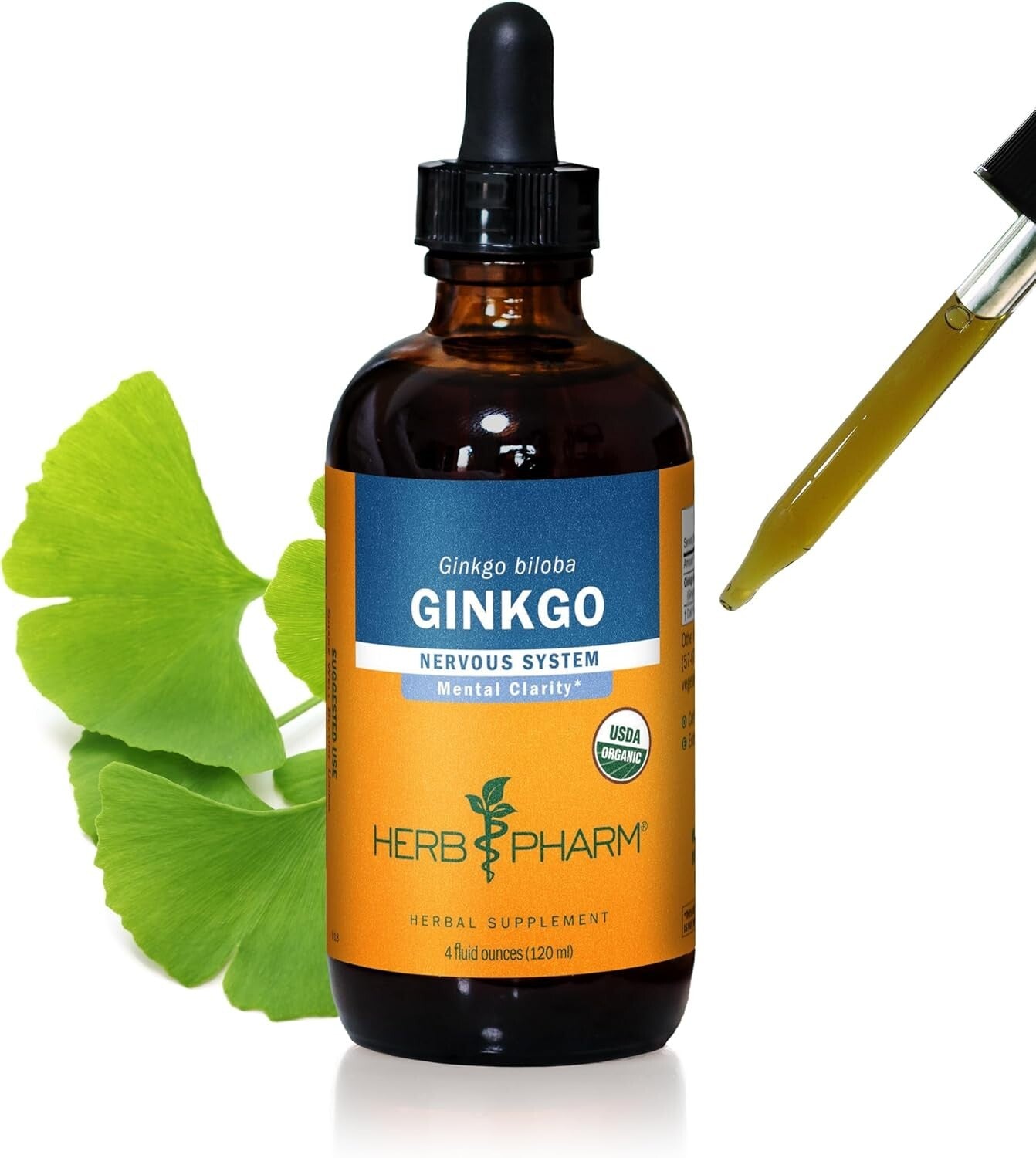 4oz Organic Ginkgo Extract for Enhanced Concentration and Healthy Circulation